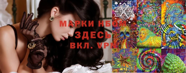 PSILOCYBIN Абдулино