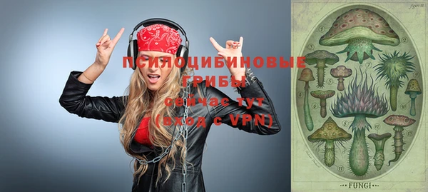 apvp Абинск