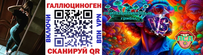 Галлюциногенные грибы Cubensis  площадка клад  Углегорск 